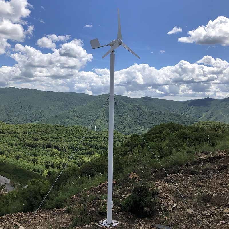 3 Phase Permanent Wind Turbine 2KW 3KW 48V 96V 220V PM Generator Wind Turbine