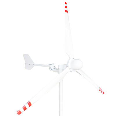 1000W 5000W Horizontal Axis Wind Turbine Generator 24V 48V 220V Horizontal Wind Generator