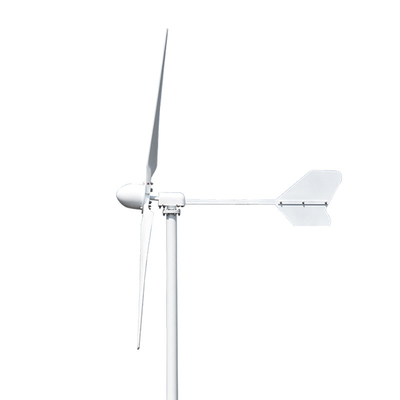 1000W 5000W Horizontal Axis Wind Turbine Generator 24V 48V 220V Horizontal Wind Generator