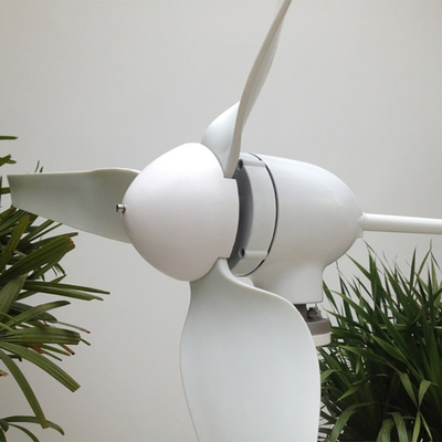 IP54 Horizontal Shaft Wind Turbine 12V 24V 400W 600W Permanent Magnet Wind Turbine