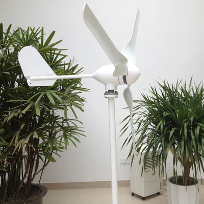 IP65 Small Horizontal Wind Turbine 24V 48V 600W 800W Horizontal Axis Wind Machine