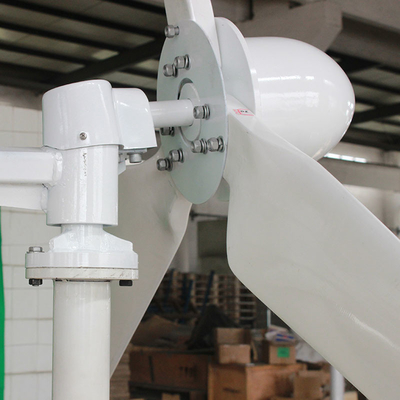 2KW 3KW Horizontal Wind Turbine 48V 96V 220V Horizontal Blade Wind Turbine