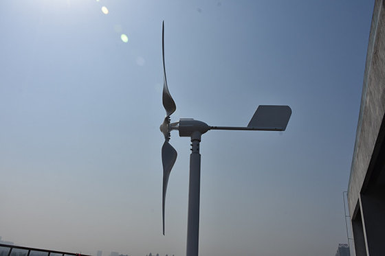 0.8kW Horizontal Axis Small Wind Turbine 24V 48Volt 1000W Horizontal Wind Power Plant