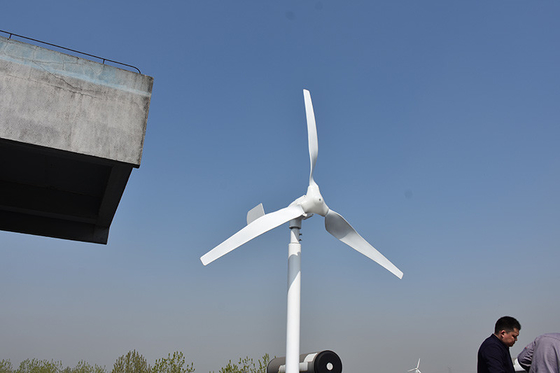 Nylon Blade Horizontal Blade Wind Turbine 24V 48V 800W For Off Grid System
