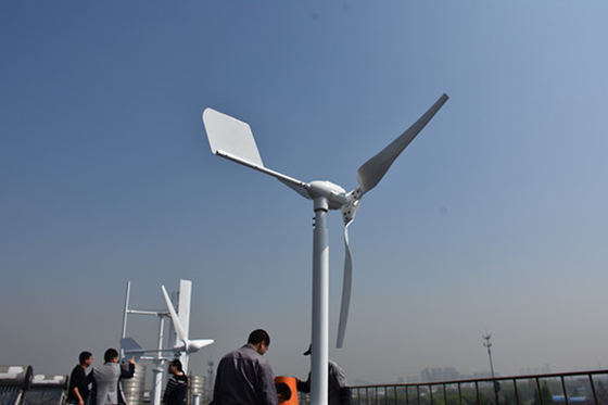 Nylon Blade Horizontal Blade Wind Turbine 24V 48V 800W For Off Grid System