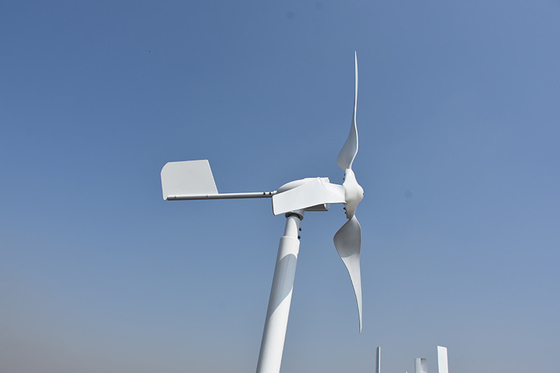 24V 48V Small Horizontal Wind Turbine 800W 1000W Horizontal Axis Wind Mill