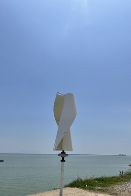12V Low Wind Speed Vertical Wind Turbine 300W Low Rpm Wind Generator Motor