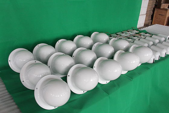 IP54 Horizontal Wind Turbine Residential Wind Power Low Vibration
