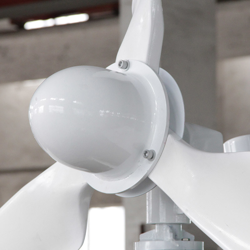 1000W Horizontal Wind Turbine Generator 24V 48V Renewable Energy Wind